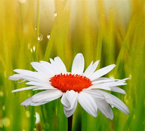 4k Whatsapp DP Wallpapers .